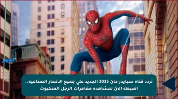 تردد قناة سبايدر مان 2025 الجديد على جميع الأقمار الصناعية.. اضبطه الآن لمشاهدة مغامرات الرجل العنكبوت